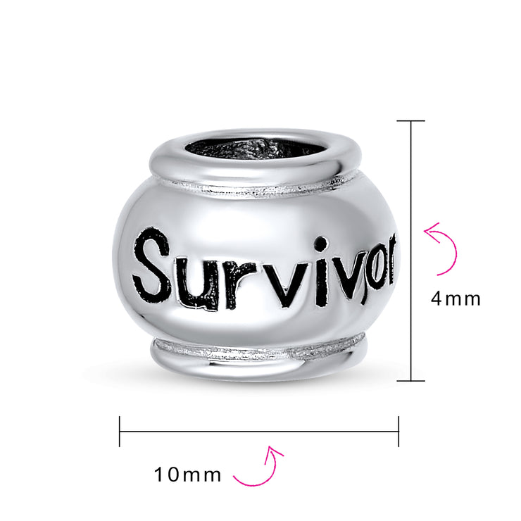 Set of 2 Ribbon Breast Cancer Survivor Message Dangle Charm Bead Silver