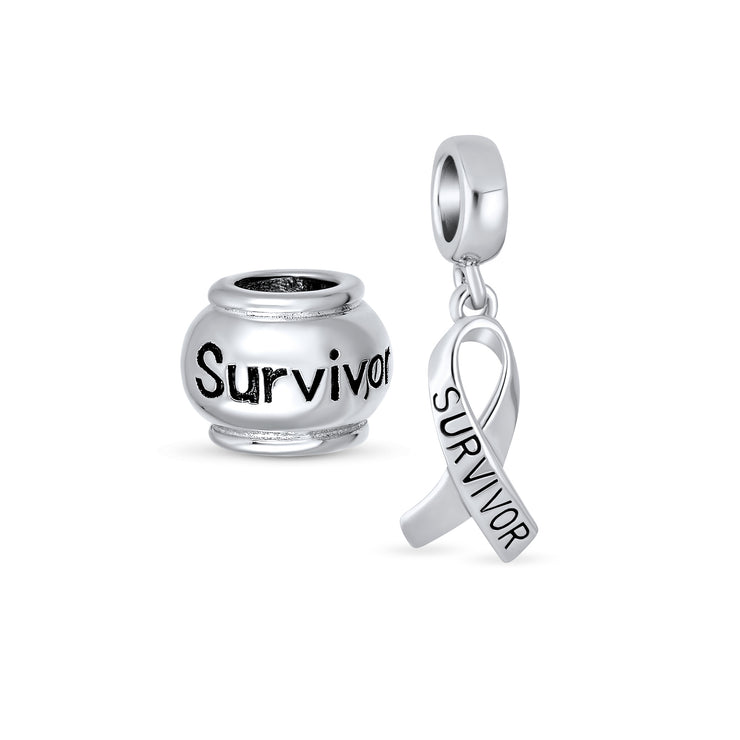 Set of 2 Ribbon Breast Cancer Survivor Message Dangle Charm Bead Silver
